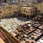 Fes Tannery | Photo taken by Chris M