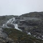 Photo taken by Sharon S