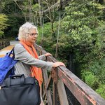 Yamanochaya! | Photo taken by Naomi B