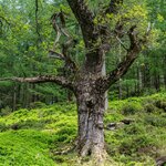 Photo taken by Peter B