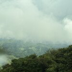 Photo taken by Rose T