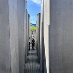 Photo taken by Stephen M