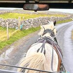 Photo taken by Laura F