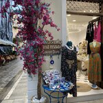 Photo taken by Anne marie M