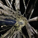 Photo taken by Robin W