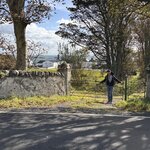 Photo taken by Frank S