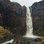 Svartifoss  | Photo taken by Marisa K