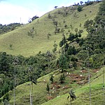 Photo taken by Janice B