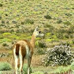 Photo taken by Donna R