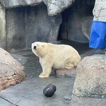 Photo taken by Meryl F