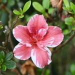 Photo taken by Miranda M