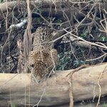 Photo taken by Kakoli K