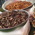 Photo taken by Leslie S