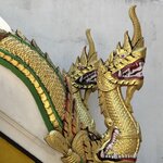 Photo taken by Megan H