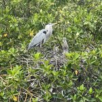 Photo taken by Thomas R