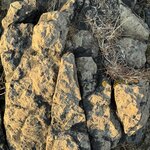 Photo taken by Dawn S