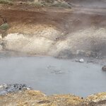 Photo taken by Sue M