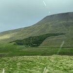 Photo taken by Dawn S