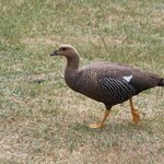 Photo taken by Jananee J