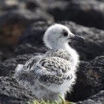 Photo taken by Joseph P