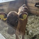 Photo taken by Scott C