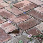 Photo taken by Logan J