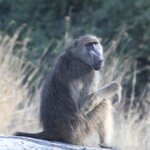 Photo taken by John B