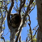 Photo taken by Amy Z