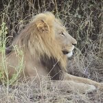 Photo taken by Kaye D