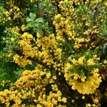 Photo taken by Brett T