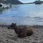 Photo taken by Mariah C