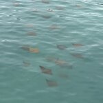 Photo taken by Lisa P