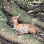 Photo taken by Bob R