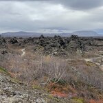 Photo taken by Marcos M