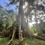 Photo taken by Tara O