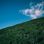 Photo taken by timothy m