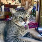 Photo taken by Shaula L