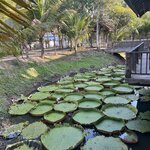 Photo taken by Petralina L