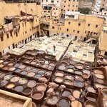 Photo taken by Vivianh H