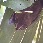 Photo taken by Dana F