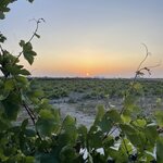 Photo taken by Eric T