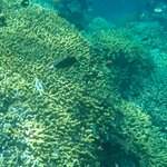 Photo taken by Dixie W