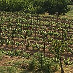 Photo taken by Jacqui B