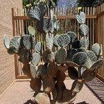 Photo taken by Vivianh H