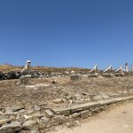 Photo taken by steve s