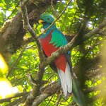 Photo taken by Darlene N