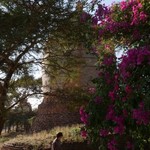 Bagan temple | Photo taken by Koy T
