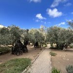 Photo taken by Joaquim S