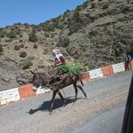 Photo taken by Beth M