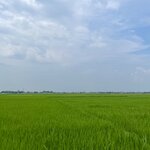 Photo taken by Vanessa V